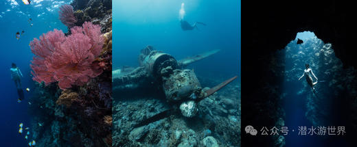 【限时优惠-帕劳潜水】上海潜水展帕劳潜水+酒店 商品图10