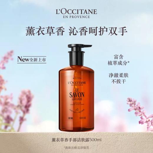【女神节】1F【欧舒丹】欧舒丹马鞭草香手部洁肤露500ml 商品图1
