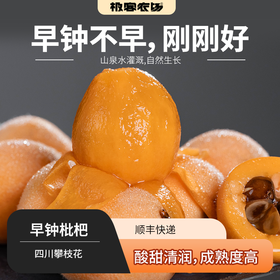 早钟枇杷丨口感清甜，非齁甜类型，果皮易剥，另外天气影响可能会影响个别果，常温放置皱皮会好一些⭐️顺丰快递