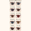 【活动】MIMIPARK半年抛② 新品 粉黛豆沙/雪梨虞美人/星河入梦/凤舞福海/芭蕾烟熏妆/婴儿漫画瞳/满色星河/栗子狗狗眼/琥珀超七/灰月光/太阳海蓝宝/女巫法则 渐变轻混血虹膜 日常通勤美瞳 商品缩略图2