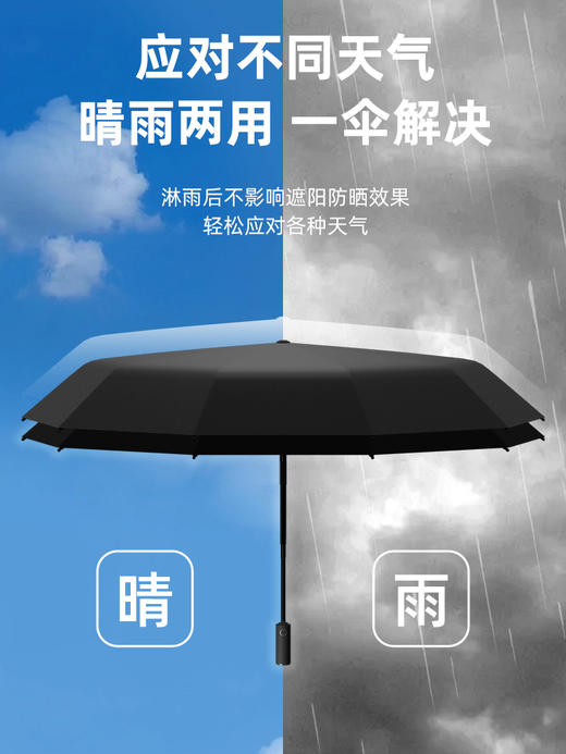 【雨季出行的底气  抗风抗雨坚固耐用】mamoru葵晴雨两用伞  全自动一键开合  黑胶防晒   加粗伞骨升级加倍抗风 商品图8