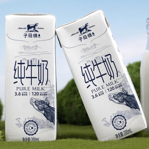 【兵兵有礼】子母情 新疆纯牛奶臻享版 200ml*12/提  2提装（全国包邮，部分地区除外） 商品图3