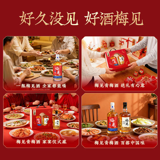 梅见青梅酒2026年节日礼盒750ml*2梅子酒微醺果酒低度酒送礼 商品图4