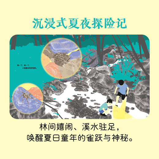 要是晚上去看蝉 百班千人75期二年级小学生课外阅读名师推荐2年级大阅小森开卷生花 商品图2