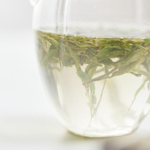 【2026绿茶季】云影瓜棱短流玻璃执壶 三联爱茶出品 适宜冲泡绿茶银针及小叶种 商品图2