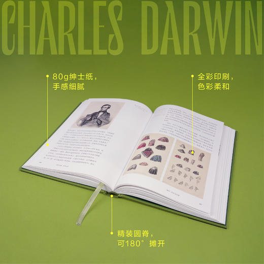 《物种之眼：达尔文传》| 只有读懂达尔文 才能读懂《物种起源》 商品图3