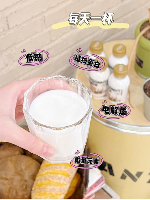 🐎新包装首发！【逆牌鲜椰汁】✅国家食品安全协会《植物基产品质量要求》团体标准起草单位✅纯正风味 椰肉鲜榨  商品图2