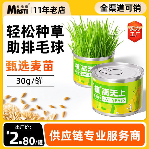 麦斯蒂植高无上懒人猫草罐装 浇水即长 小麦苗猫咪零食化毛球 商品图0