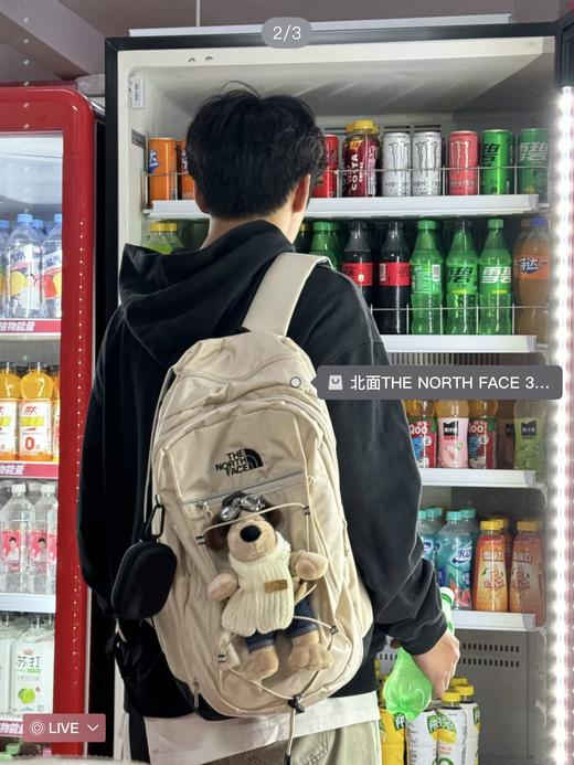 三色 超大！ 男女同款！ TNF北面大容量双肩包背包   小脸双肩包 商品图5