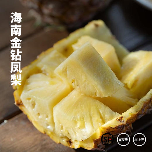海南金钻凤梨 香甜脆嫩 满满汁水 顺丰包邮 商品图0