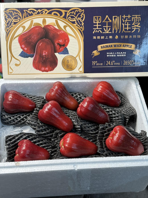 黑金刚莲雾 商品图4