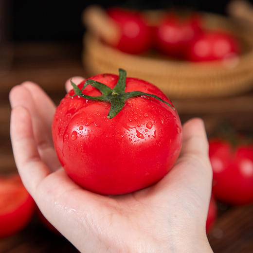陕西普罗旺斯西红柿 净重4-4.5斤小中大果 商品图2