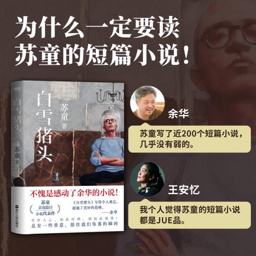 白雪猪头 苏童 商品图3