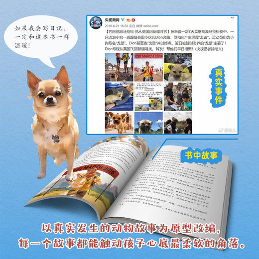 【精装】万物有灵 商品图1