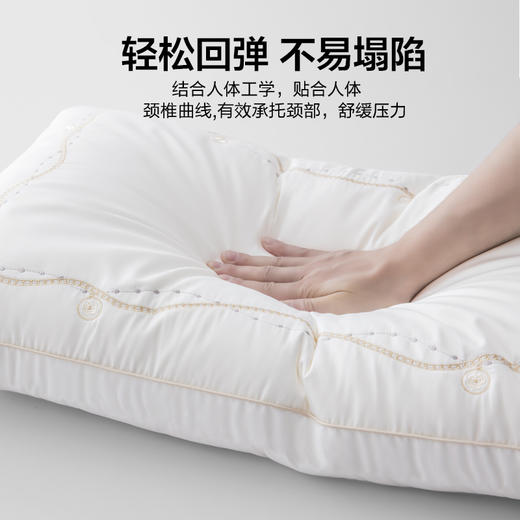 水星家纺丨星·丽尔蚕丝纤丝对枕 商品图3