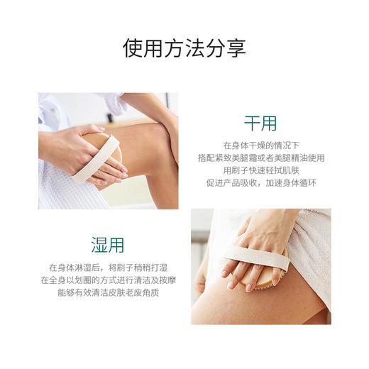 【美专保税】Legology 手持天然鬃毛美腿沐浴刷 商品图2