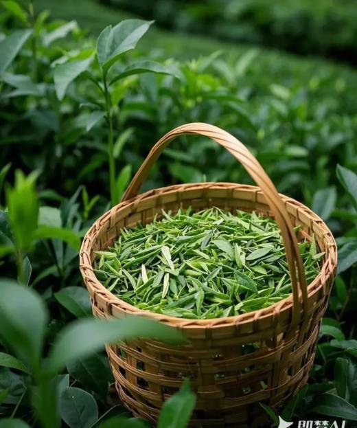 【小爱定制】2026清明假期丨湖光山色陶都行丨宜兴+溧阳天目湖亲子四日游 商品图1