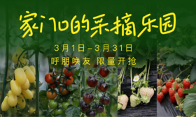 【余杭亲子采摘乐园】草莓/小番茄/沙池乐园等内购优惠报名（款项到现场支付）