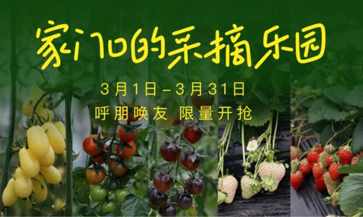 【余杭亲子采摘乐园】草莓/小番茄/沙池乐园等内购优惠报名（款项到现场支付） 商品图0
