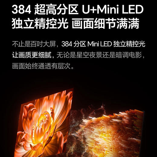 海信（Hisense）电视 100E3Q Pro 商品图5
