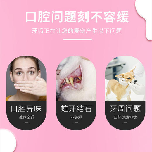 宝莱美露宠物牙膏可食用120g狗狗猫咪牙刷清新口腔牙齿清洁护理 商品图2