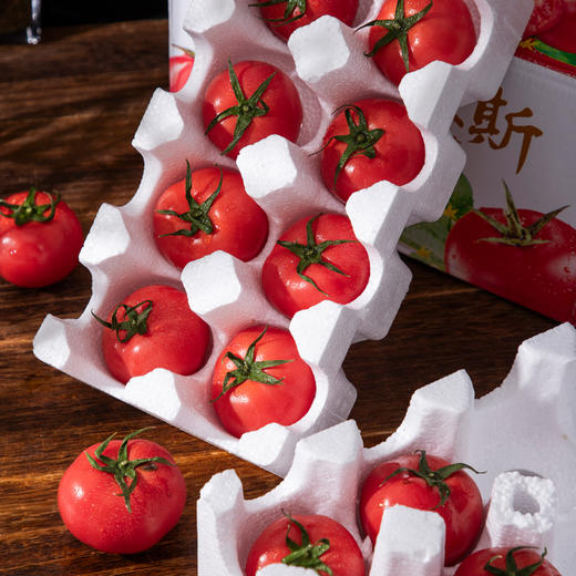 陕西普罗旺斯西红柿 净重4-4.5斤小中大果 商品图7