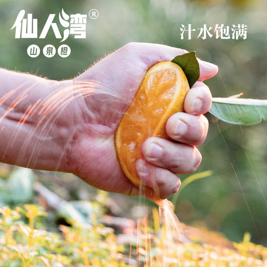 仙人湾山泉橙 商品图2