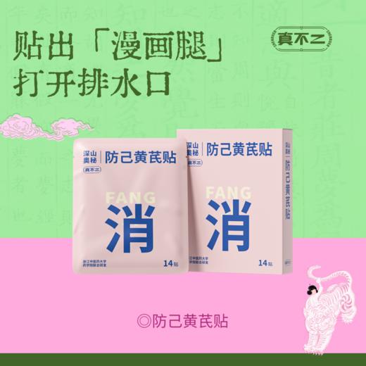 【真不二】防己黄芪贴腿贴打通下焦久坐淤堵不通排水肿漫画腿身材管理 商品图0