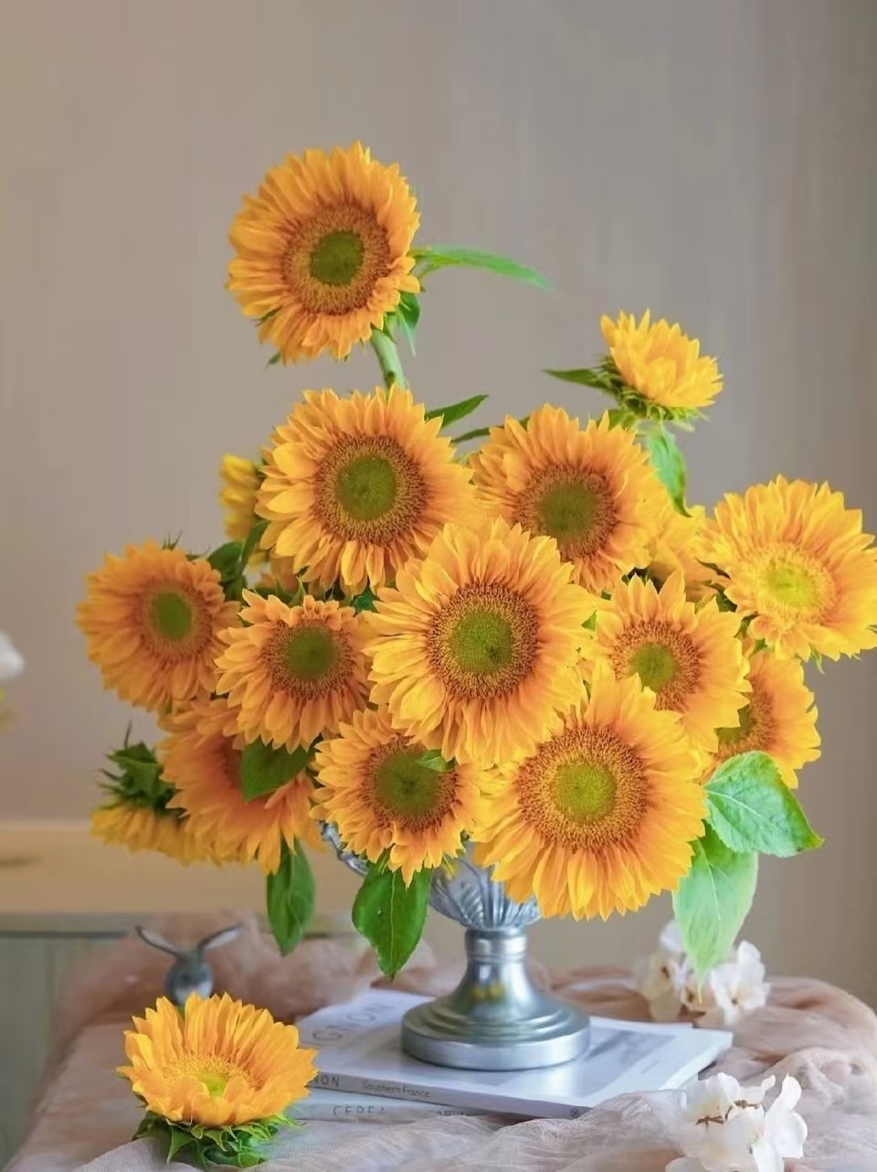 绿心向日葵5枝