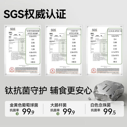 2026小贝熊 五档镀钛刀片全钢辅食机 商品图1