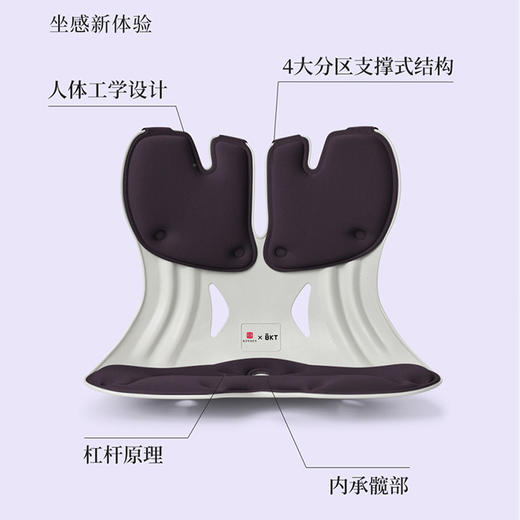 BKT 人体工学护腰坐姿椅 加大版 摩卡黑 故宫宫廷联名款 商品图5