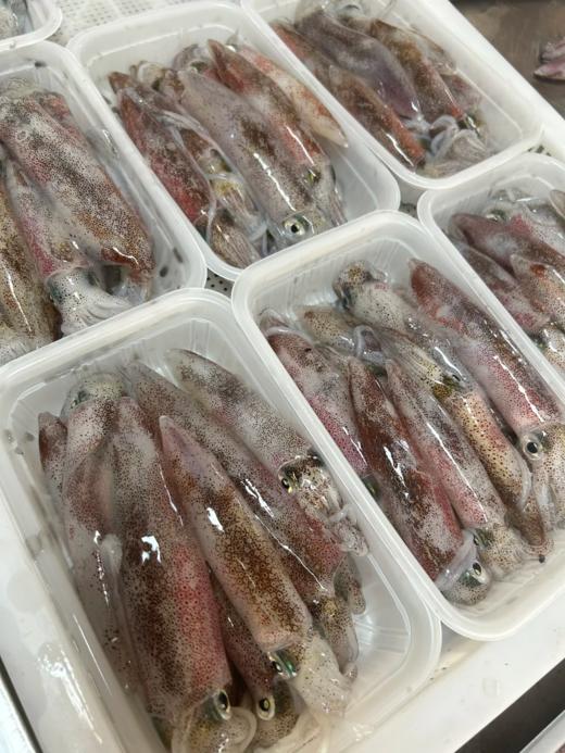 & 招牌鲜甜特色小管🦑~脆爽好吃，鲜美无敌！活冻 商品图1