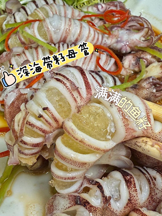 xm【抢抢抢！太便宜啦！！！】东山岛特定海域灯捕带籽小管，肉质更紧实脆嫩，籽满肉厚肉净无沙，顺丰活冻锁鲜 跟海边现捕上岸一模一样 商品图1