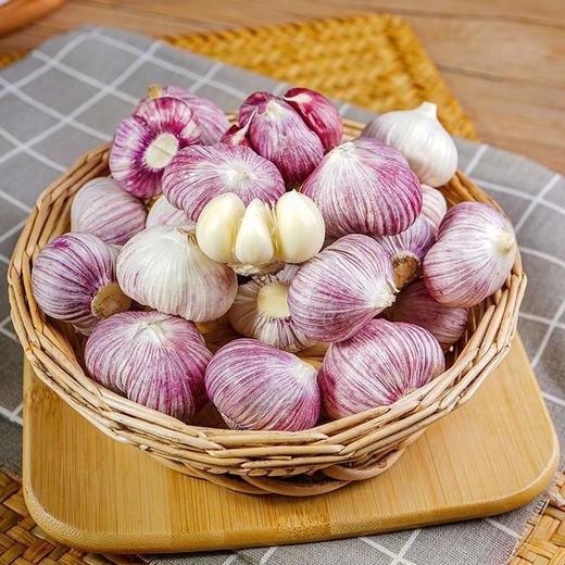 【做菜好吃❗️云南紫皮三瓣蒜】皮薄易剥，口味辛辣，鲜嫩多汁！整箱现挖鲜蒜5元宝红皮大蒜头蔬菜3三丫蒜 商品图2