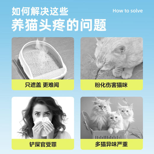 冒险与它猫咪豆腐猫砂6L膨润土混合粉尘除臭钠基矿砂高品质批发 商品图1