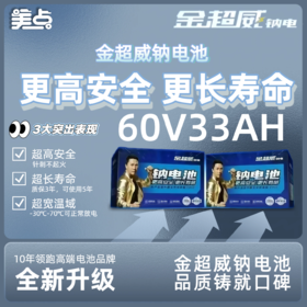【双十一美点特惠】60V33AH  金超威钠电池 武汉到店