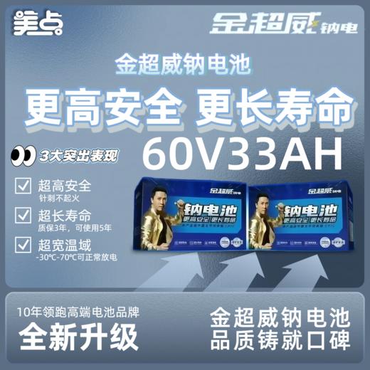 【双十一美点特惠】60V33AH  金超威钠电池 武汉到店 商品图0