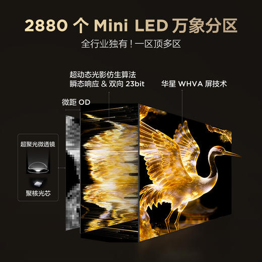 【FFALCON雷鸟】 85鹤7 PRO 26款 85英寸 极景QD-MiniLED 蝶翼华曜屏 万象分区 平板电视机85R79A Pro 商品图4