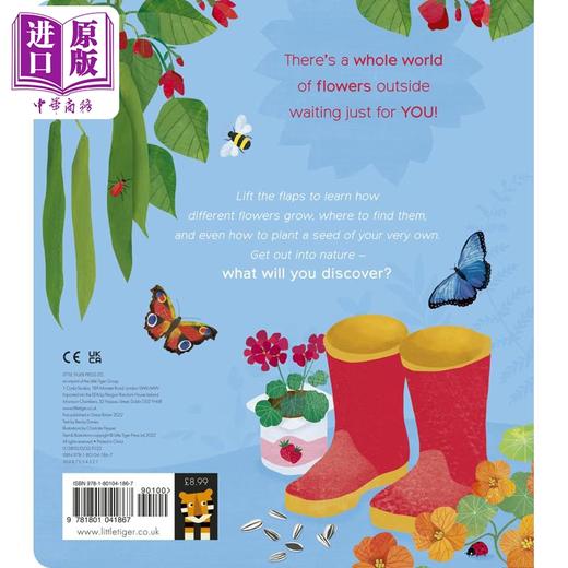 【中商原版】One Little Seed 一粒小种子 英文原版儿童科普类读物 商品图1