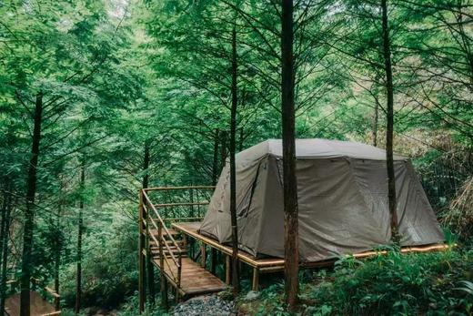 3.15前减200！4.1/4.2/4.5少位！2天1夜一价包【崇州·琉璃坝-熊猫科考&萤火虫季】 1大1小限时899元！探索大熊猫国家公园核心区、畅游萤火之森，住野奢帐篷，吃战斧牛排，酿桂花酒，挖笋 商品图1