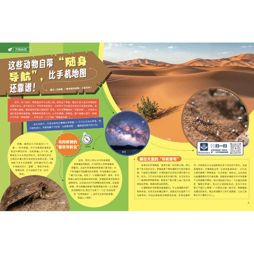 《大英百科少儿探索杂志：动动画世界》12期征订 商品图6