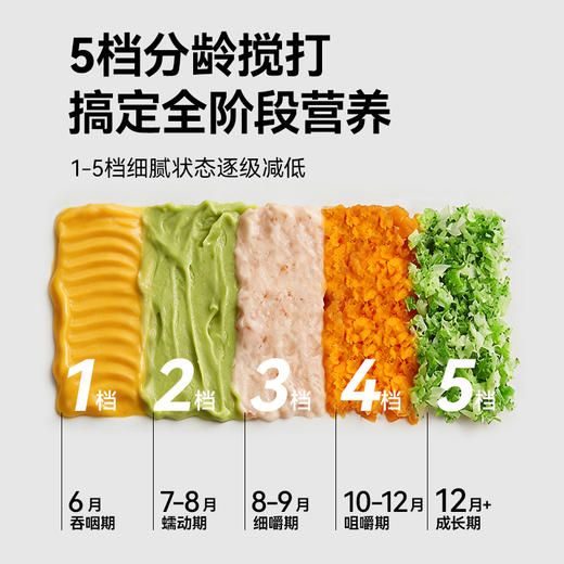 2026小贝熊 五档镀钛刀片全钢辅食机 商品图5
