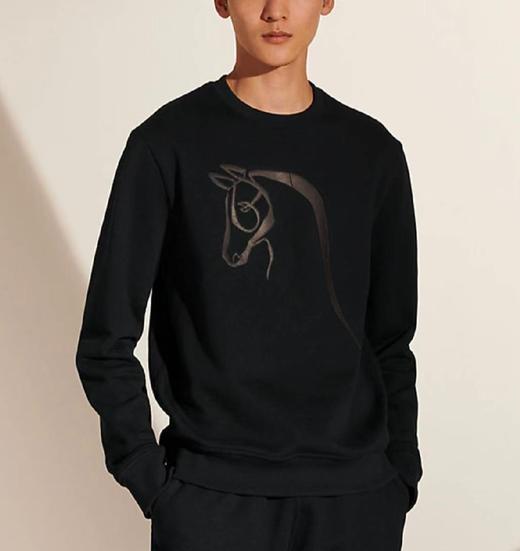 男款棉质皮革刺绣卫衣he 商品图3