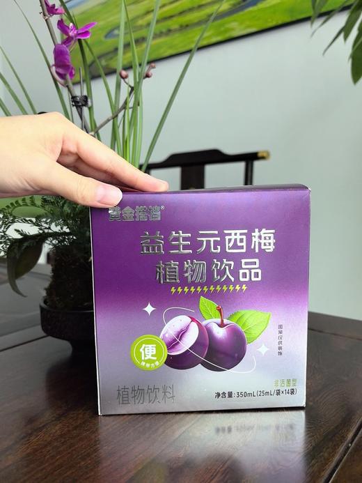 黄金搭档益生元植物西梅饮品 商品图1