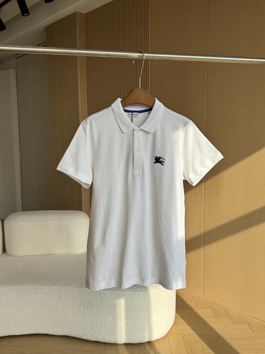 BUR战马刺绣珠地棉质短䄂男士T恤polo衫 商品图5