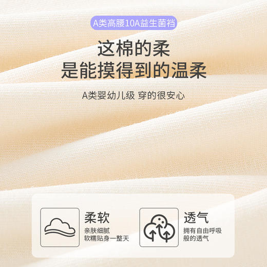 纯棉高腰益生菌内裤--WL89049，益生菌高腰纯棉裤，5条礼盒装，到手仅需39.9元 商品图3