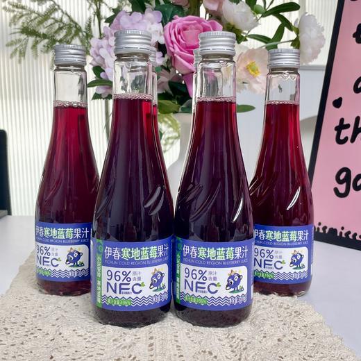 忠芝蓝莓果汁|饮料 长在冻土层的蓝莓 营养美味更新鲜 原汁含量高达96%【清明期间正常发货】 商品图2