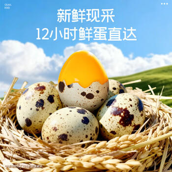 盐津铺子鹌鹑蛋盐焗味约400g 熟食休闲食品卤蛋早餐零食大礼包 约60颗 /休闲食品 /蛋类制品 /鹌鹑蛋类 商品图1