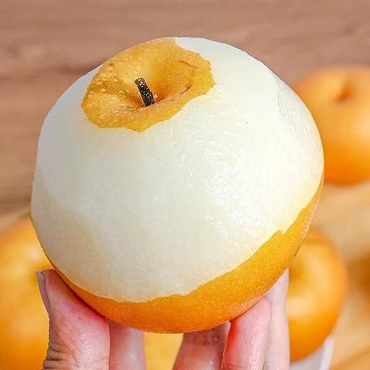 山东南水梨【39元购5斤】丨梨中的“爱马仕”，饱满多汁脆甜 商品图3