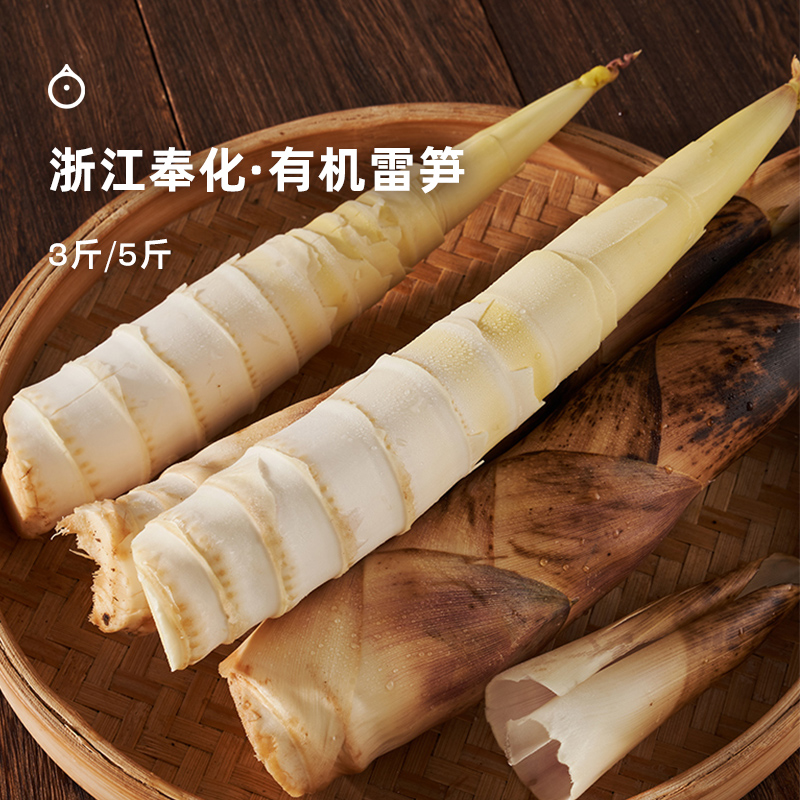 企鹅市集|浙江奉化 有机春笋雷笋 山林鲜美滋味 现挖现发